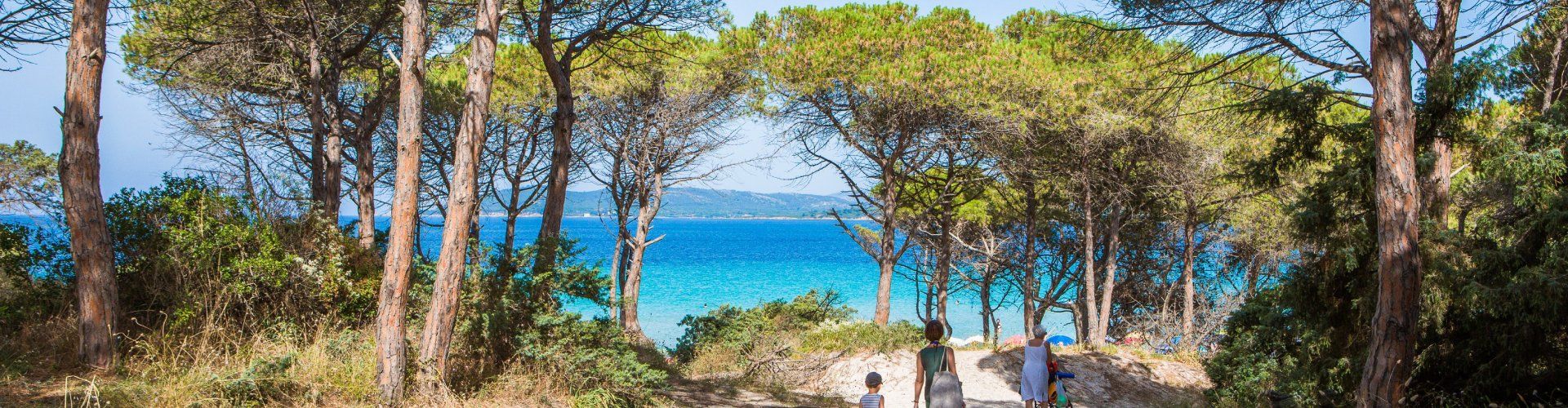 Accesso alla spiaggia Pia Maria di Alghero attraverso pini e dune