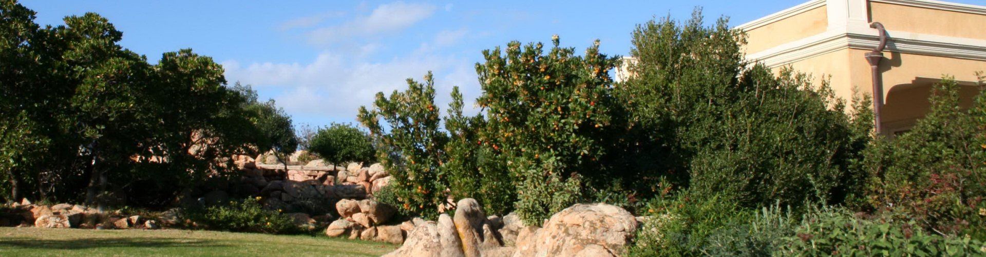 Villa Aquila Alta | Appartamento Aquila Alta con giardino e piccola piscina Giardino