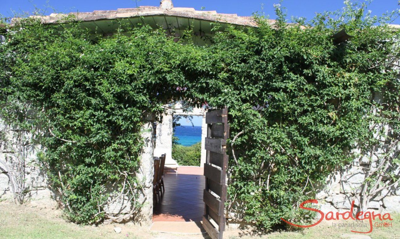 Sant Elmo | Vista mare attraverso l'ingresso coperto di verde e il patio di una villa Entrata ricoperto di un rampicante verde di Casa 8 a Sant Elmo