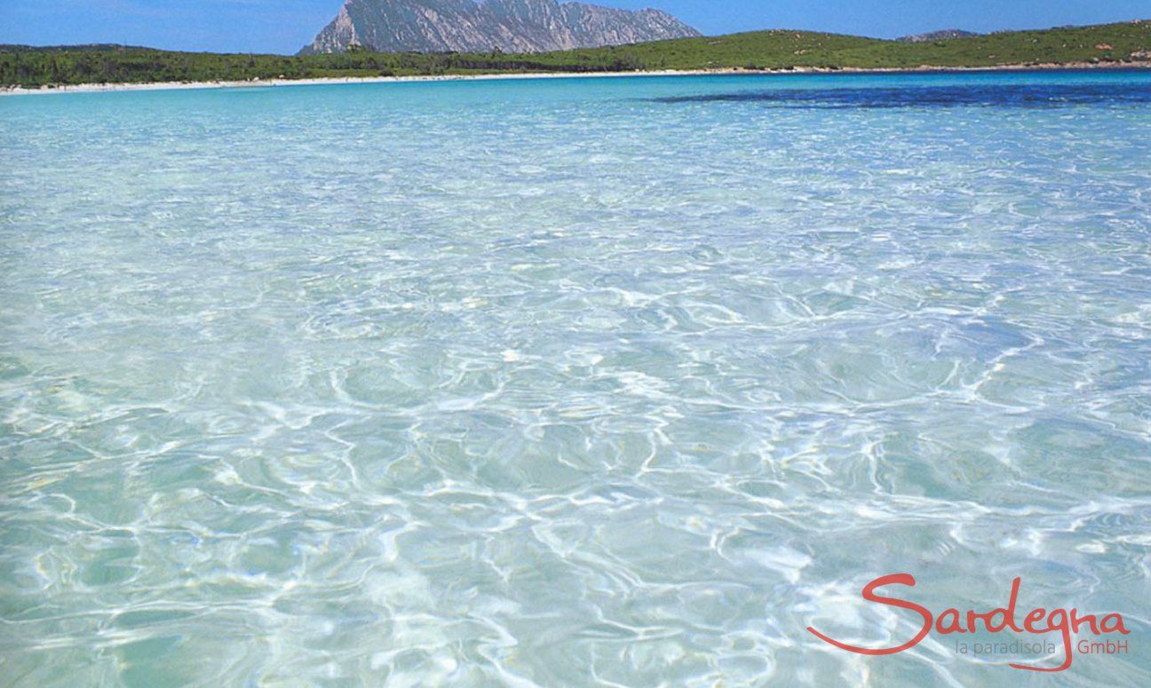 Villa Maestrale | Mare limpido vicino alla casa Mare limpido di San Teodoro
