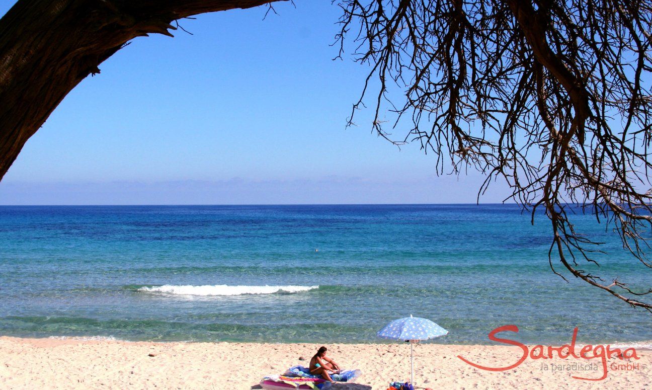 Villa Alessia | Relax sulla spiaggia di Costa Rei Spiaggia