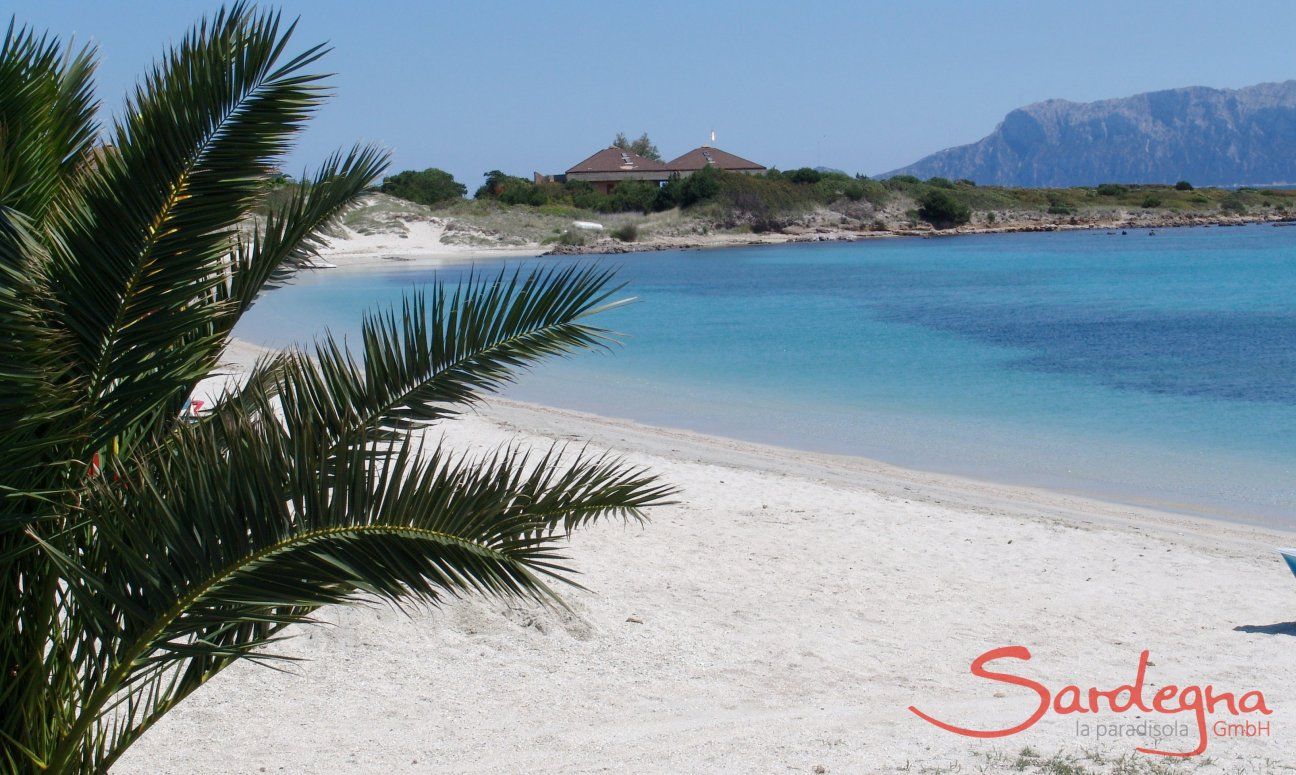 Villa Caterina | Spiaggia Nodu Pianu Spiaggia Nodu Pianu