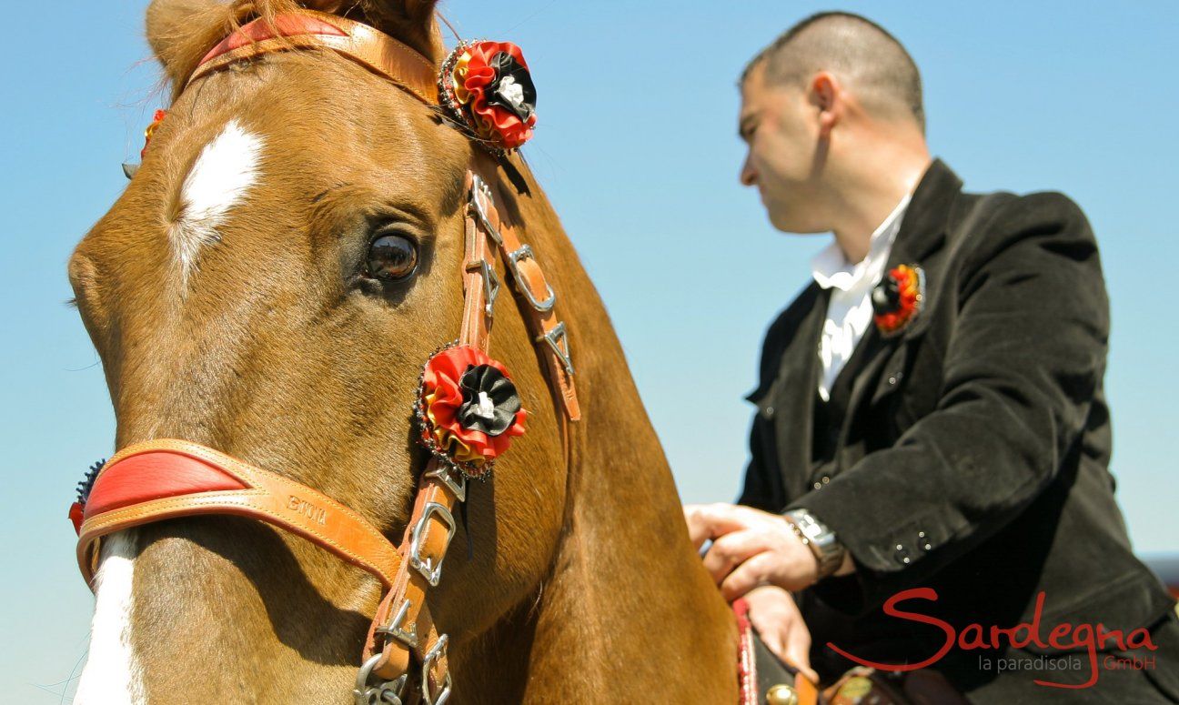 Testa di cavallo decorato con fiori con il suo cavaliere in costume sardo