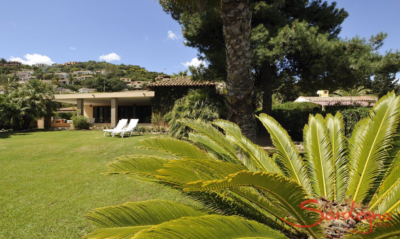 Villa Palme | Giardino con prato verde e palme Giardino