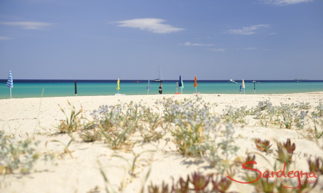 Spiaggia di Costa rei