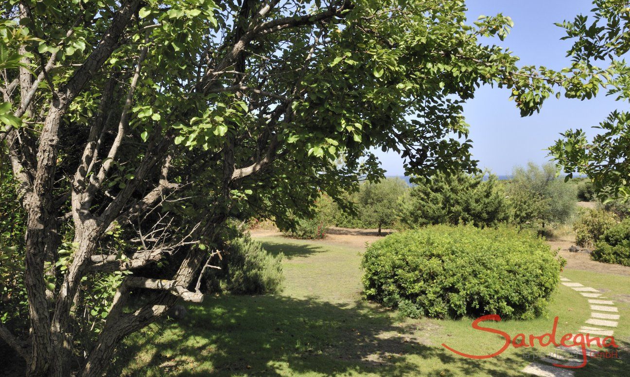 Casa Meloni 2 | La casa è immerso nel verde mediterraneo Giardino mediterraneo, Meloni 2 a Sant Elmo