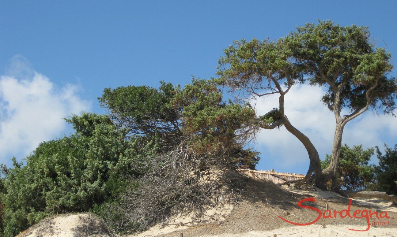 Su Tauloni, Strand, Chia; 