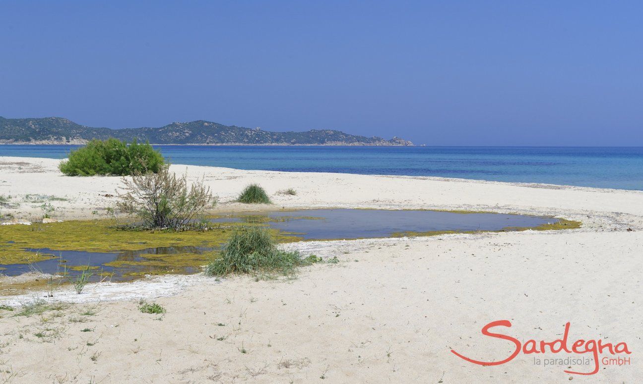 Spiaggia davanti al villaggio