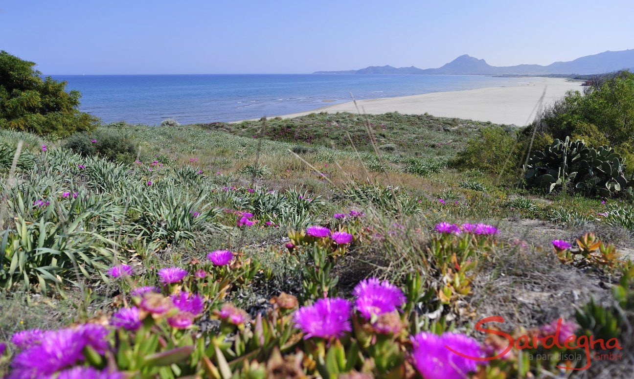 Spiaggia davanti alla casa