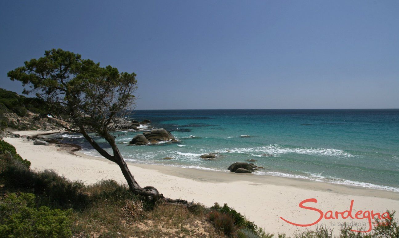 Apartment Azzurra | Spiaggia Porto Sa Ruxi, dista solo circa 2 km Spiaggia Villasimius