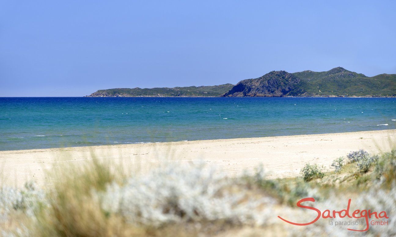 Spiaggia Torresalinas