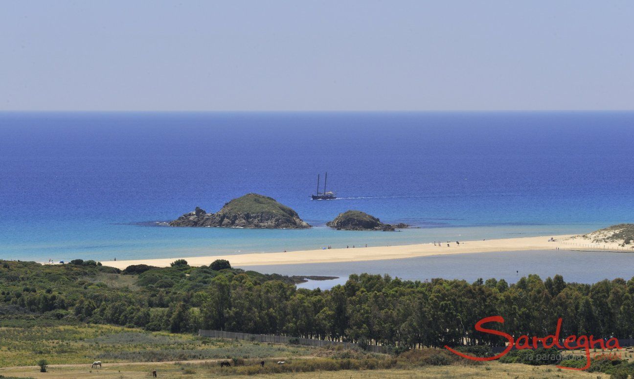 Sardegna