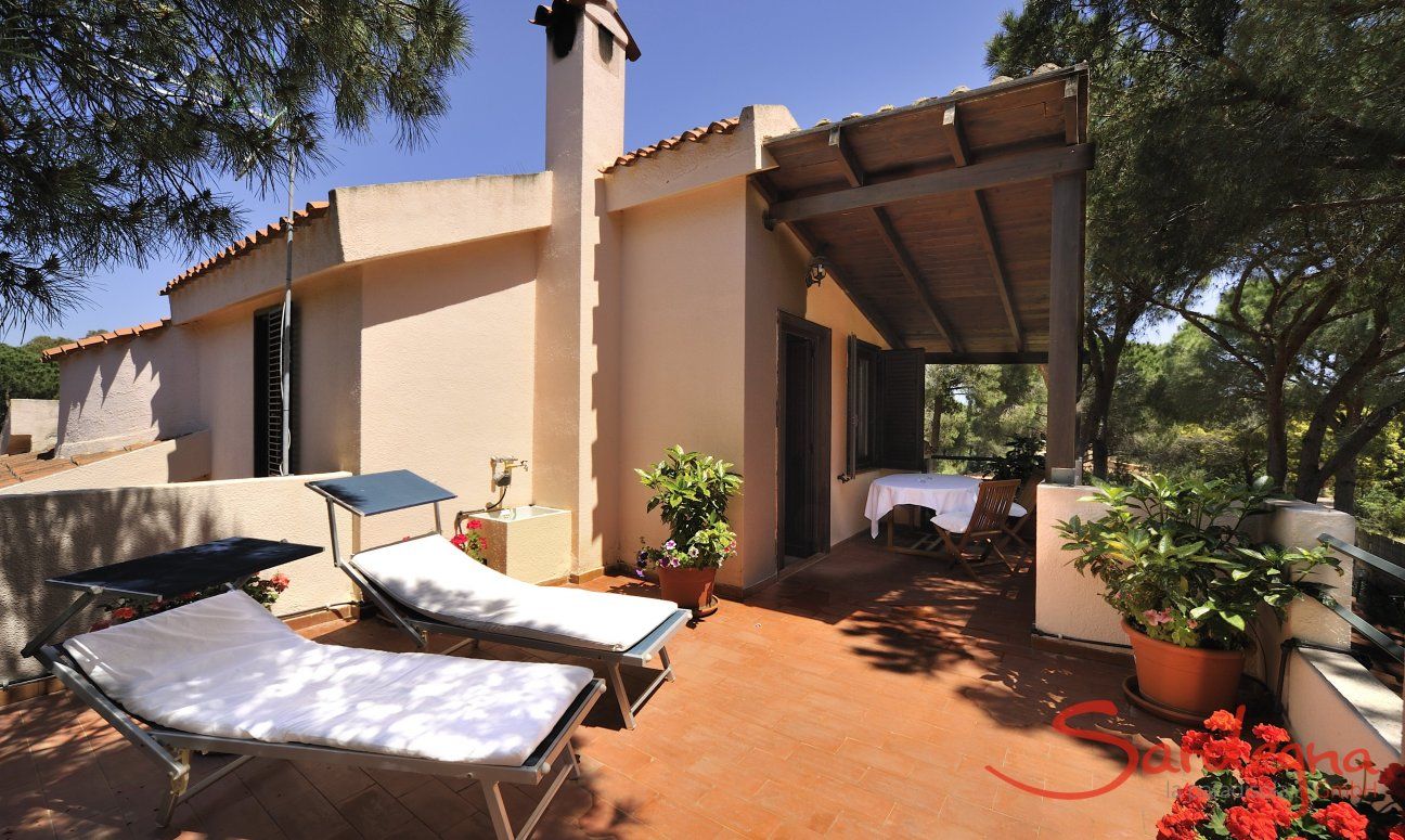 App. Pino | Terrazza fiorita Terrazza app. Pino