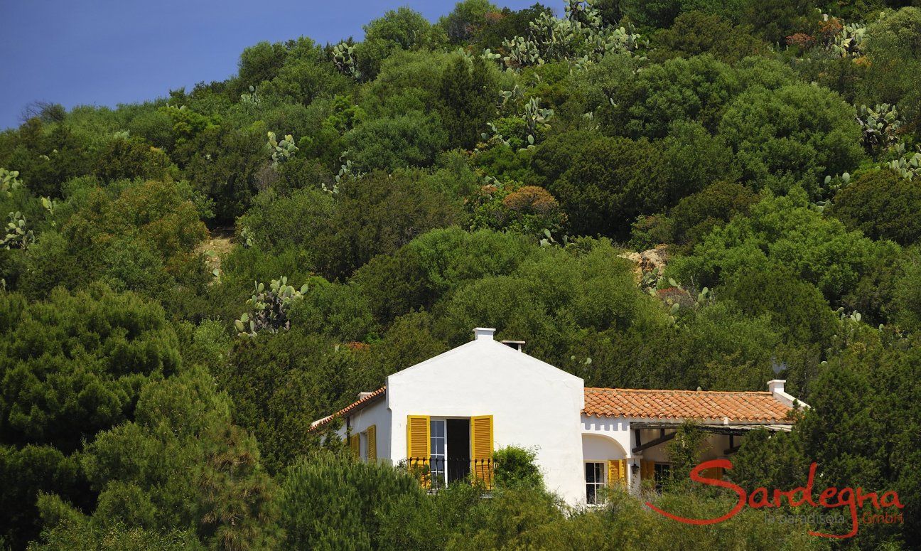 Villa Bau Cannas | Casa immersa nella natura verde Sardegna