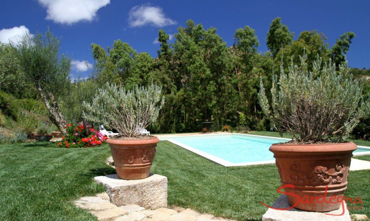 Villa Caroline | Giardino curata per godersi la vacanza Piscina