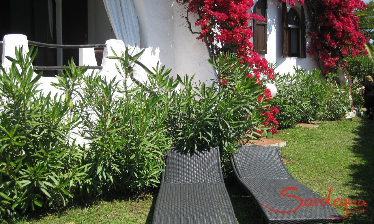 Villa ToreMari | Giardino mediterraneo con lettini da sole Giardino
