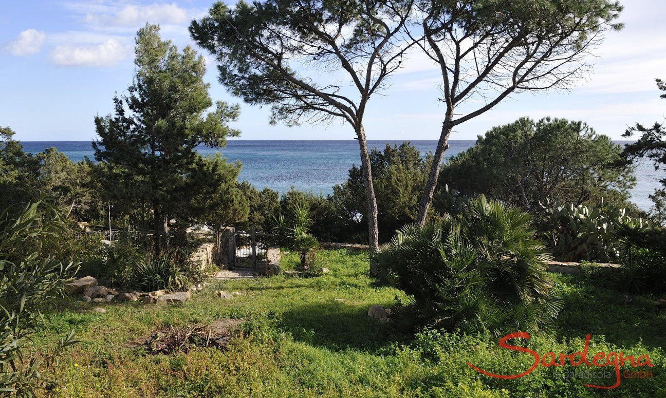 Apartment Cala Liberotto I | Giardino e mare adiacente Vista Giardino