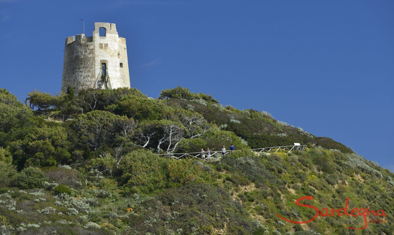 Sardegna