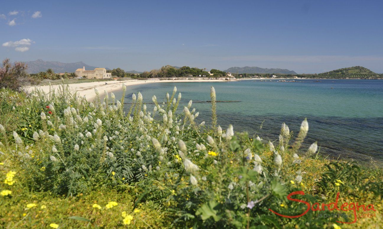 Sardegna