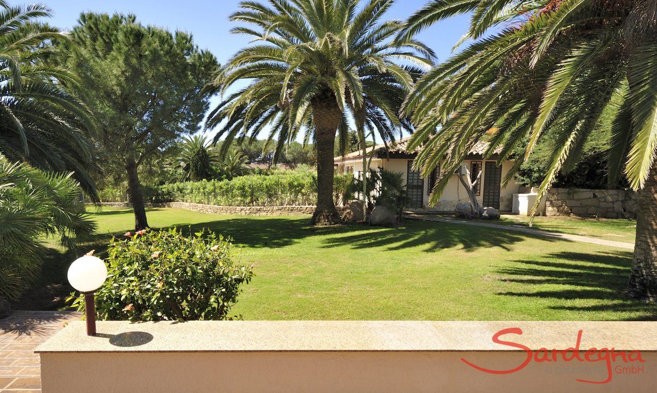Villa Nautilus | Giardino di palme Giardino