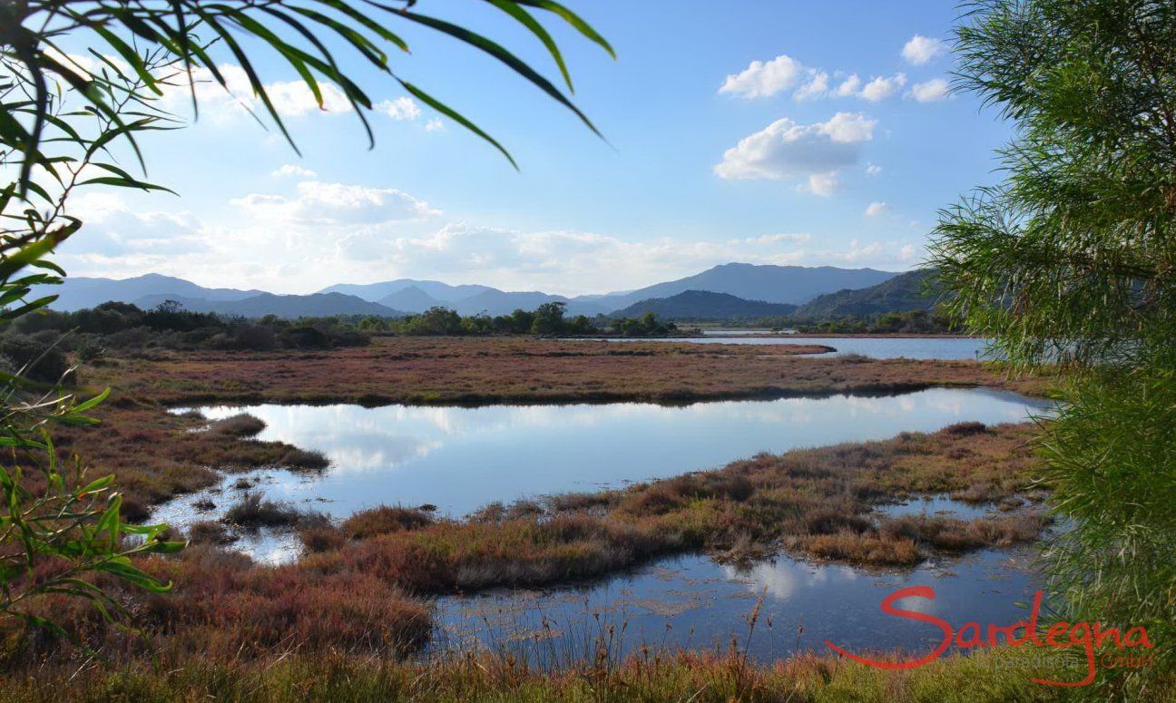 Stagni nel delta del Flumendosa