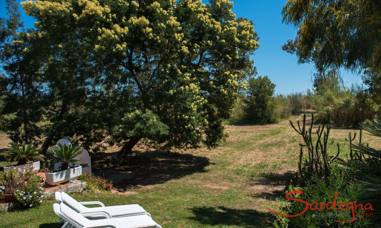 Apartment Orri 2 | Giardino con lettini per prendere il sole Giardino