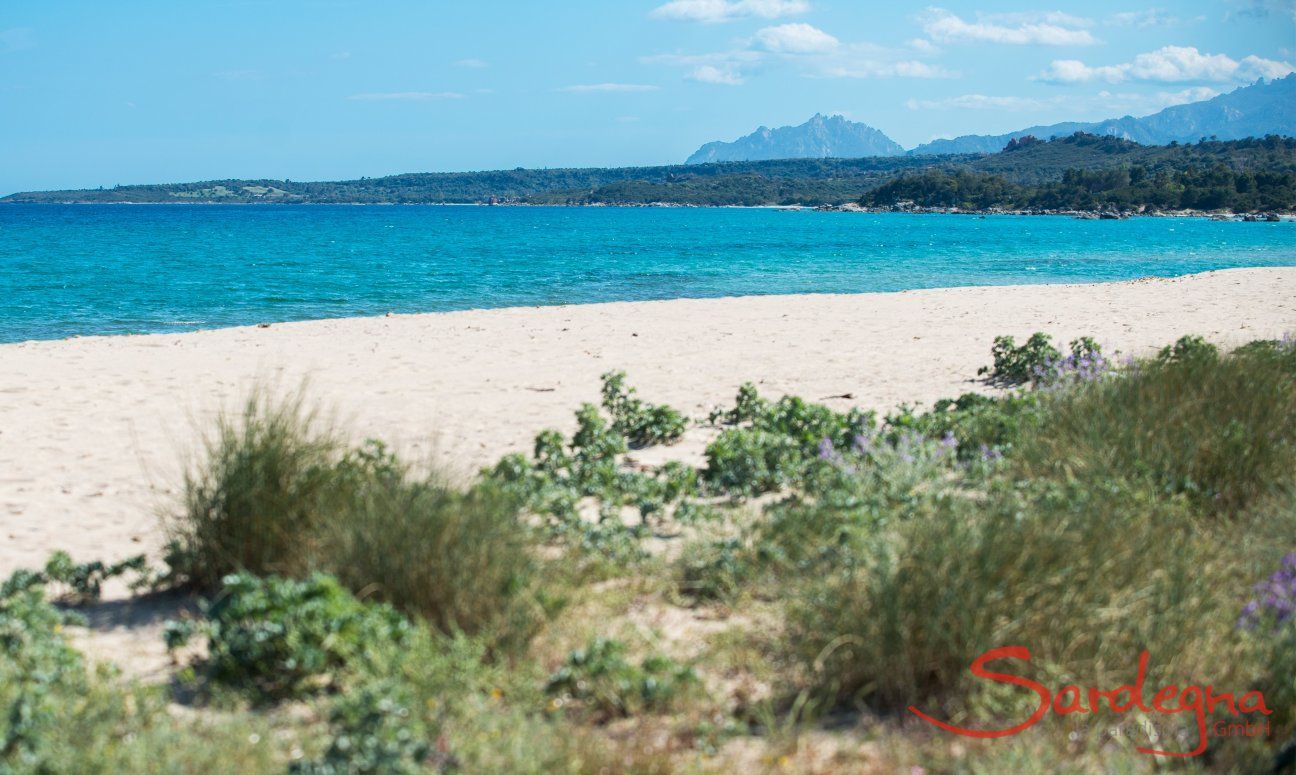 Zelt-Lodge Orri 2 | Spiaggia davanta alla tenda, solo 30 metri Spiaggia davanta alla tenda