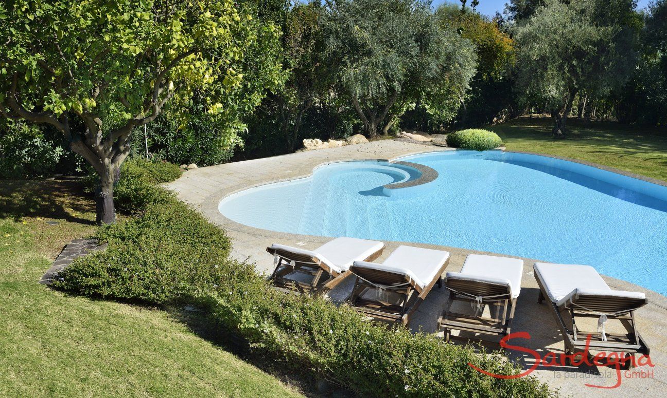 Villa Ulivi 12 | Piscina con lettini da sole e albero di limone Piscina