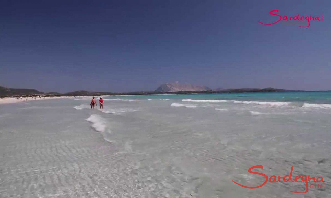Video Spiaggia La Cinta, San Teodoro 