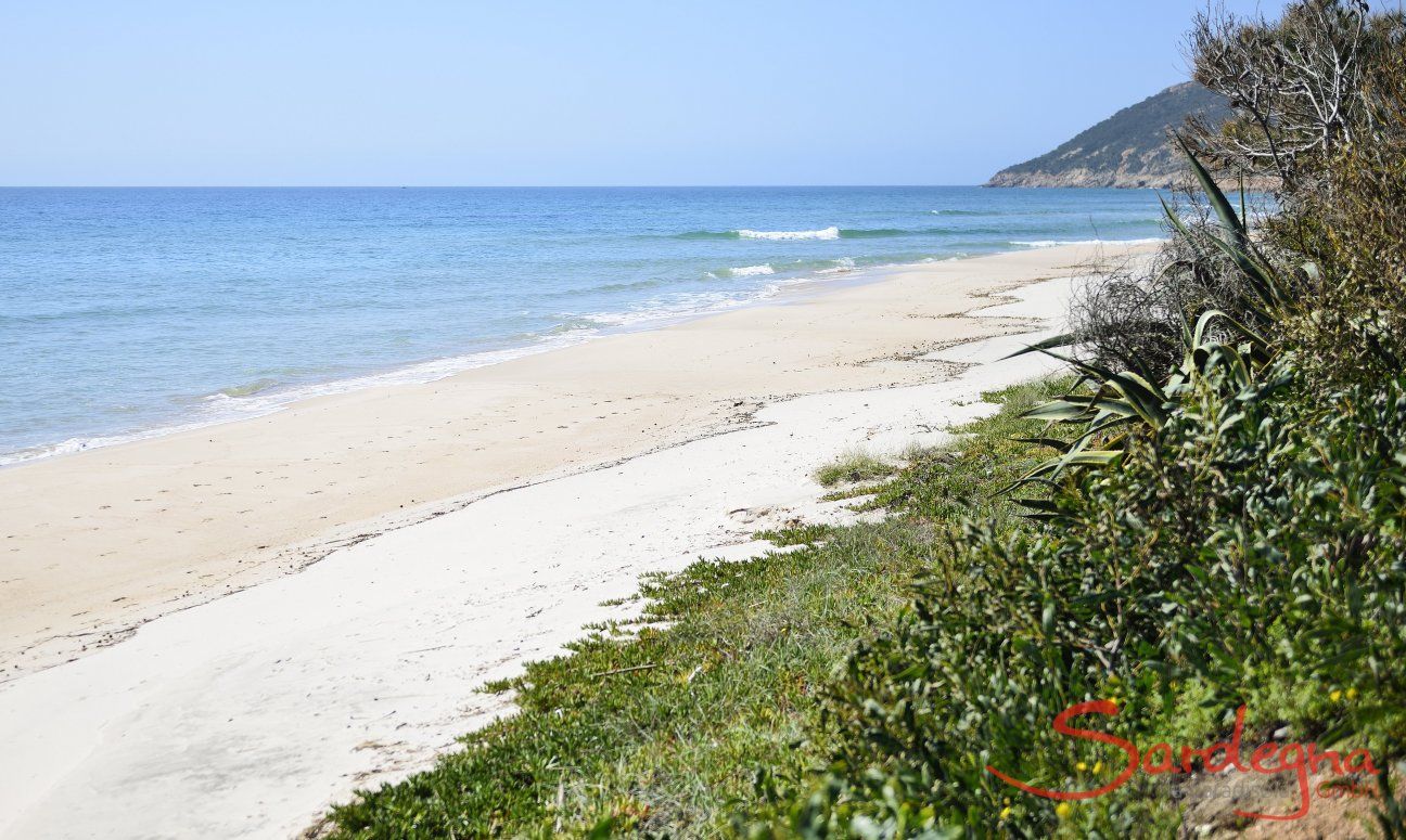 Spiaggia di Villa Pino