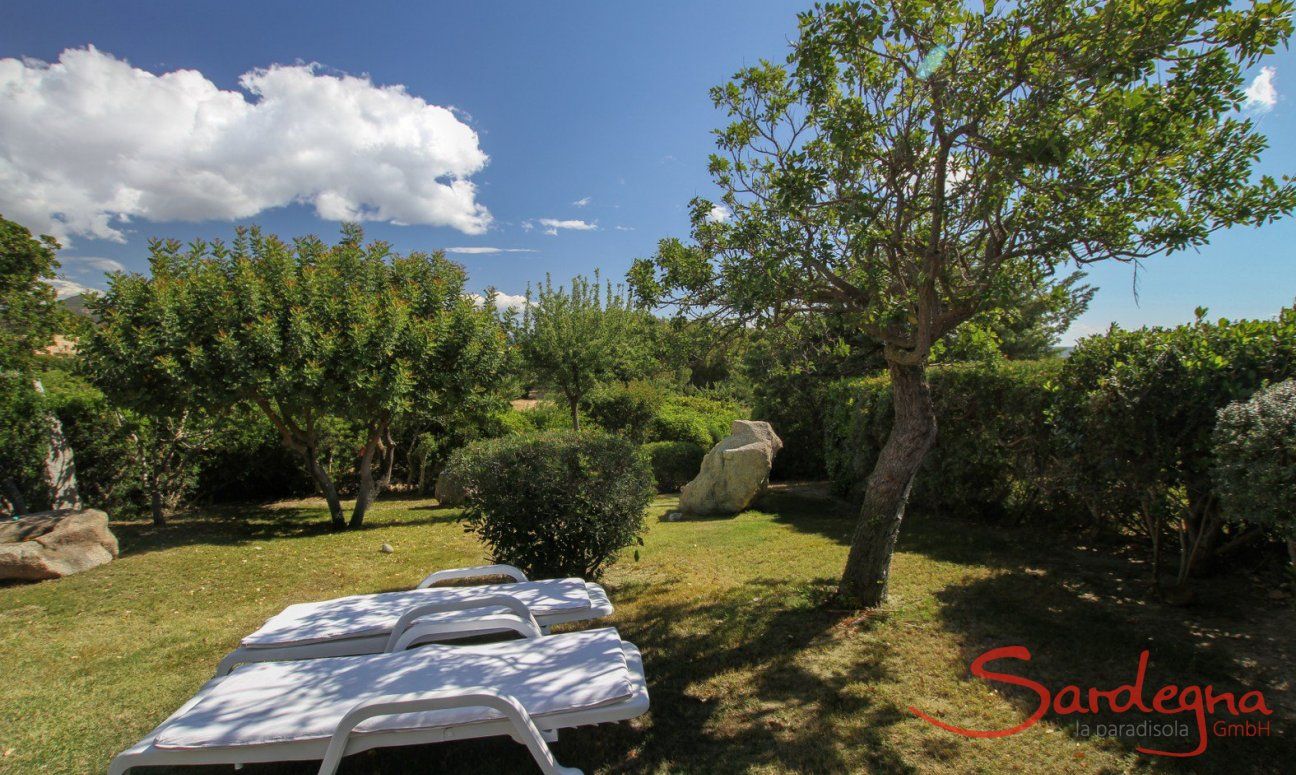Casa 1 | Giardino che finisce quasi in spiaggia Giardino
