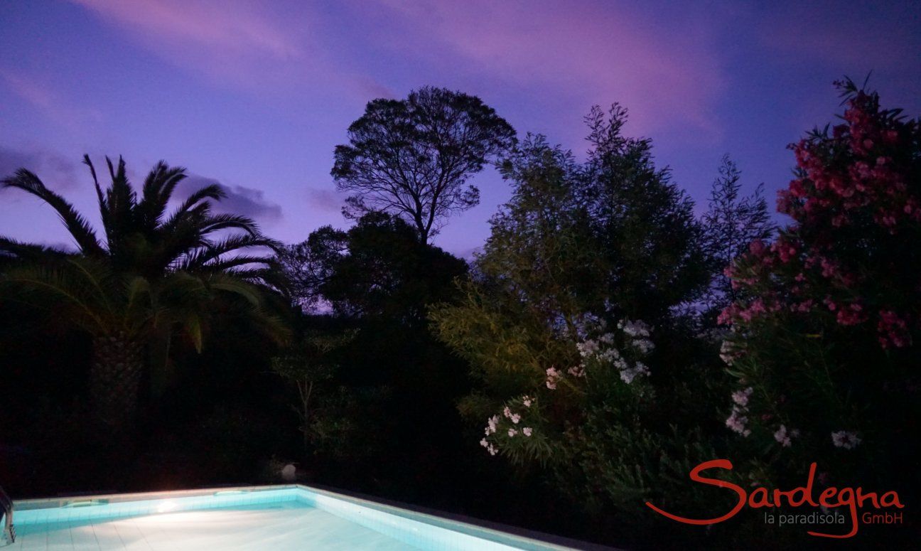 Villa Fiori 3 | Pool illuminato di sera davanti alle piante mediterranee e il cielo colorato rosa del sole che tramonta Piscina Villa Fiori 3
