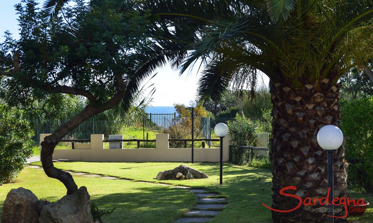 Villa Gaia | Giardino con una grande palma e vista mare giardino