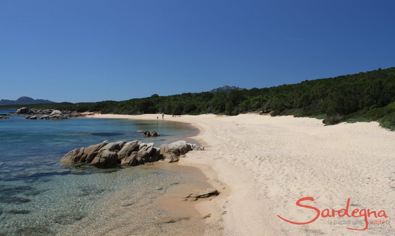 Penthouse Domus 16 | Spiaggia Cala di Volpe Spiaggia Cala di Volpe