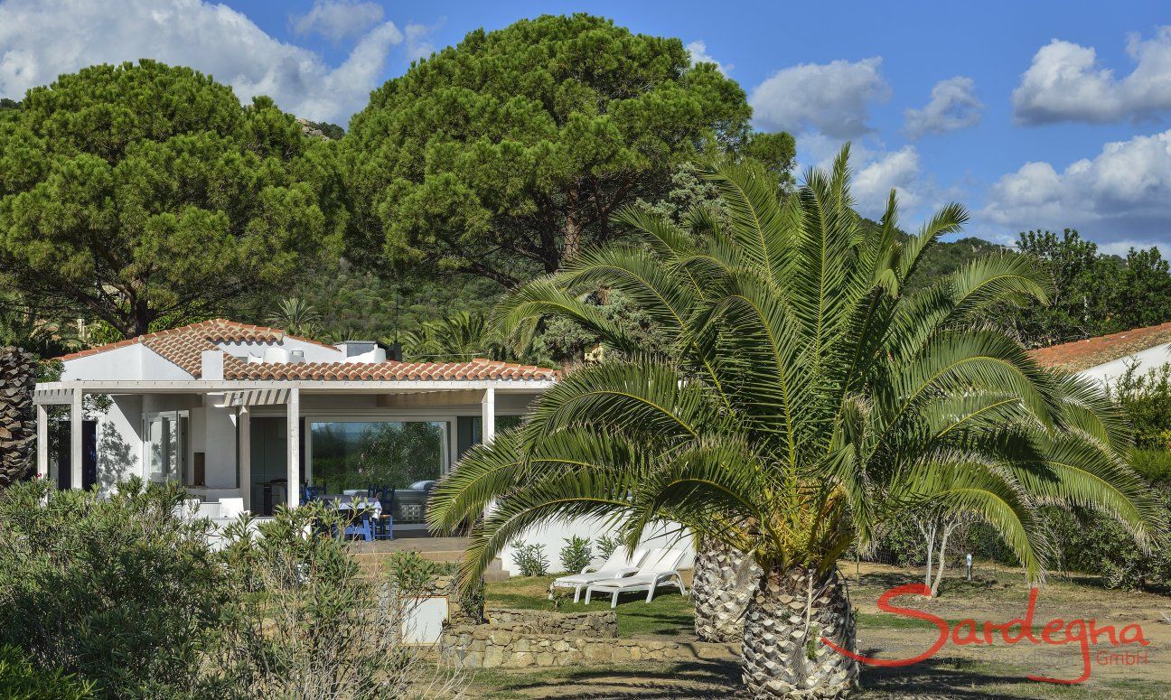 Villa Graziano | Giardino grande con palme Giardino