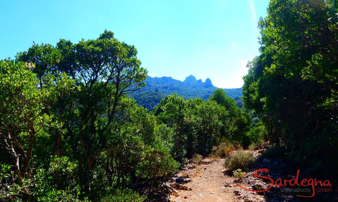 Sardegna