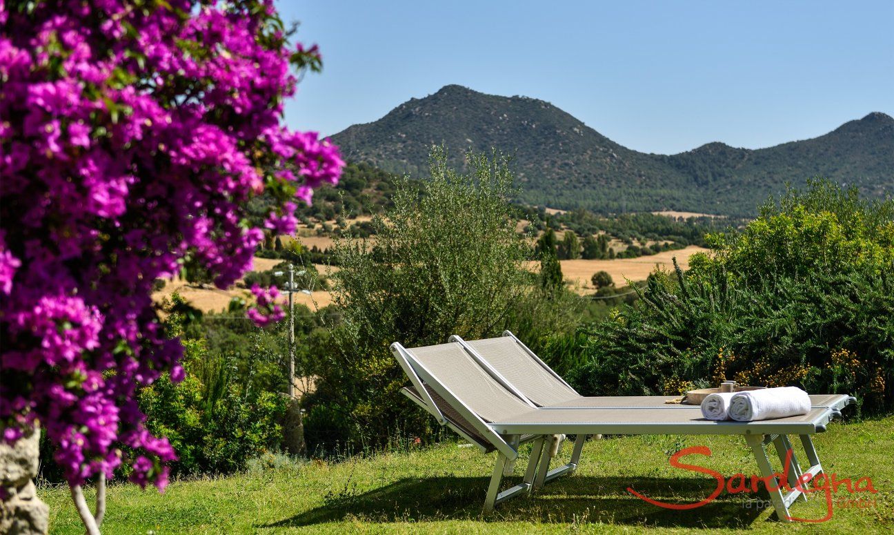Li Conchi 4 | Boungainville e lettini da sole nel giardino davanti a casa Giardino