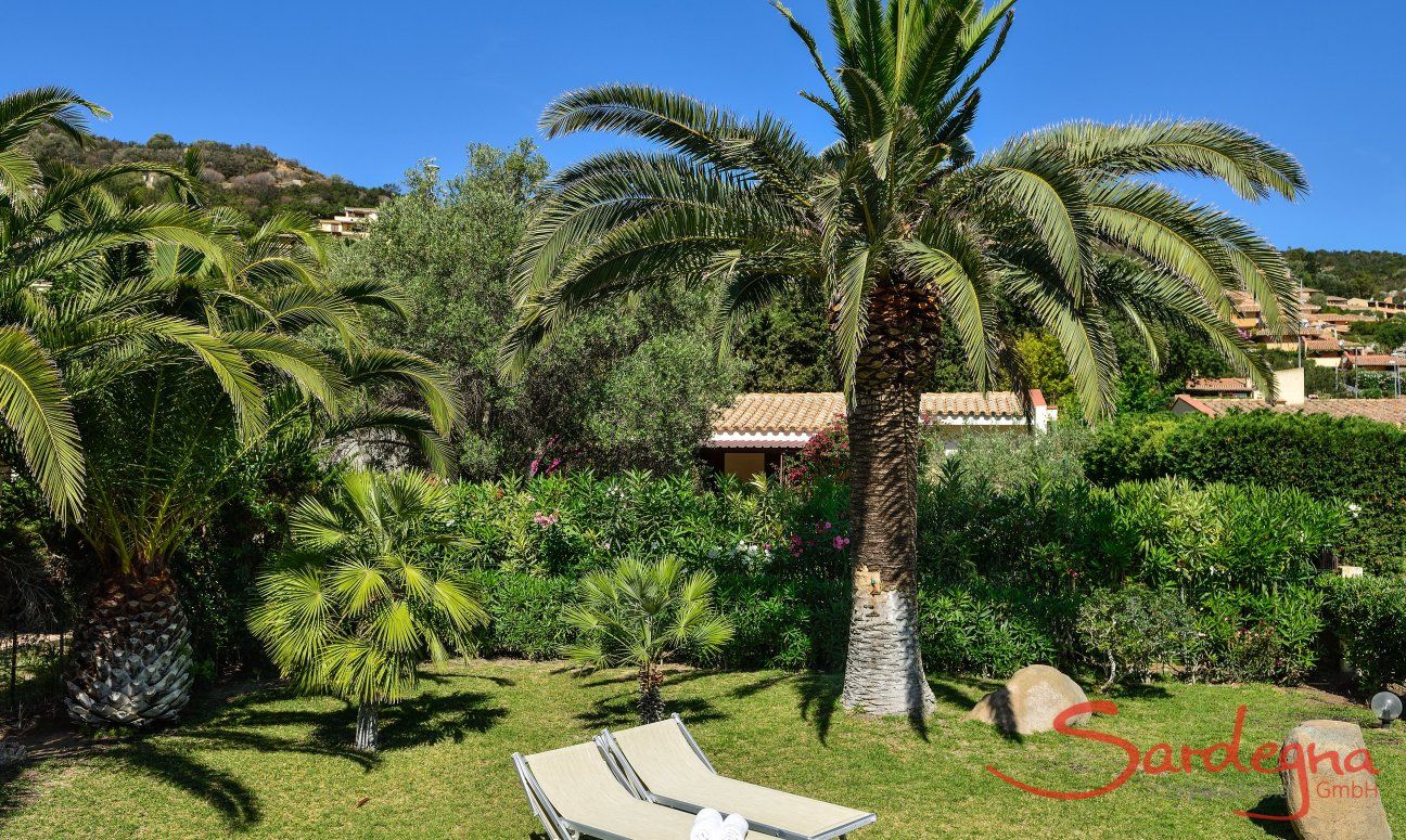 Villa Chiara | Giardino con Palme Giardino con Palme