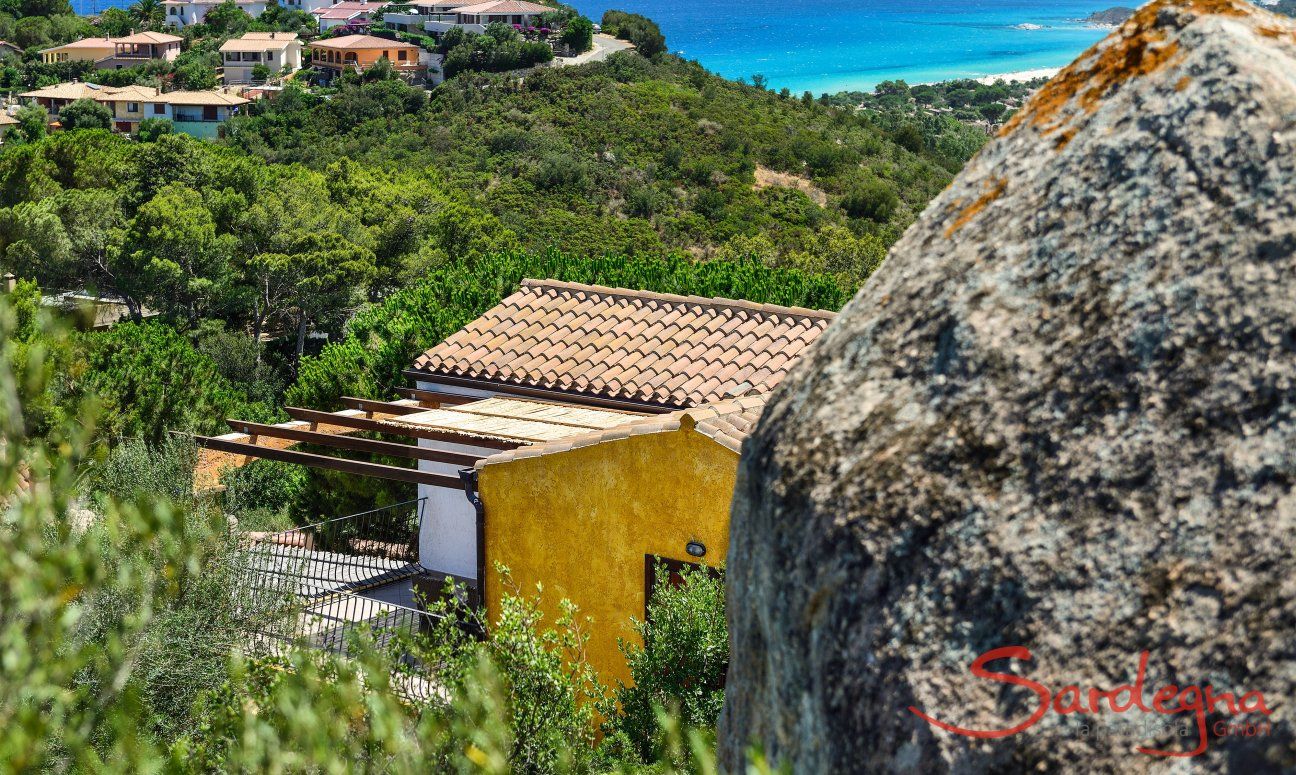 Apartment Orchidea-C | Immerso nel verde con il mare in sottofondo Immerso nel verde con il mare in sottofondo
