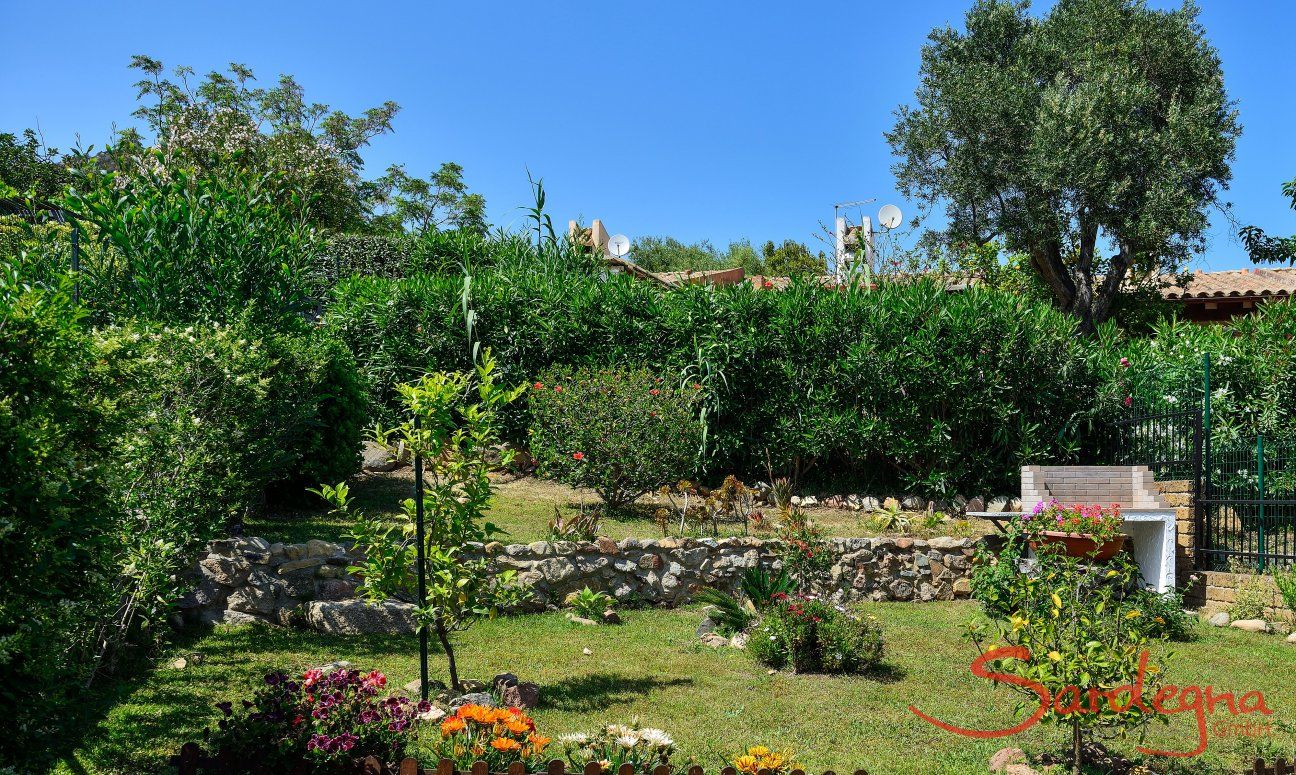 Villa Nicola | Giardino fiorito dietro la casa Giardino