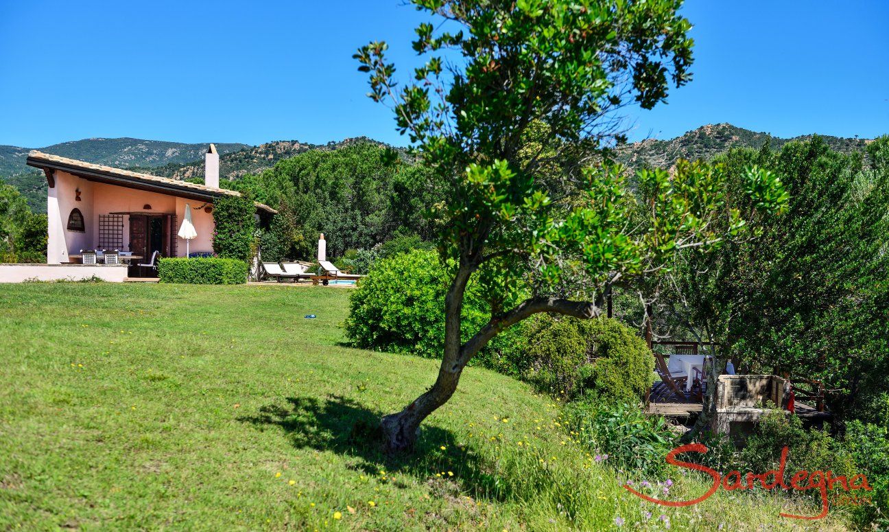 Giardino naturale, casa, piscina, verande