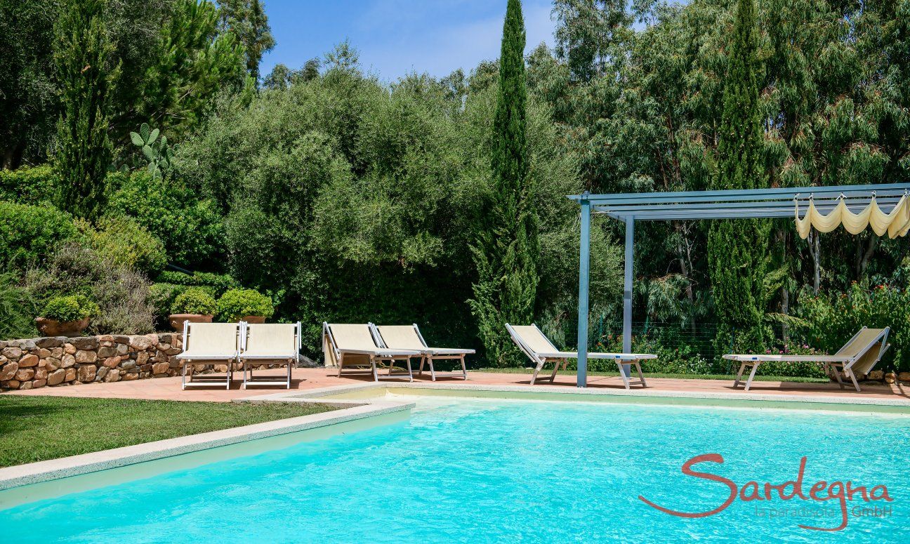 Villa Caroline | Grande piscina privata in giardino Piscina