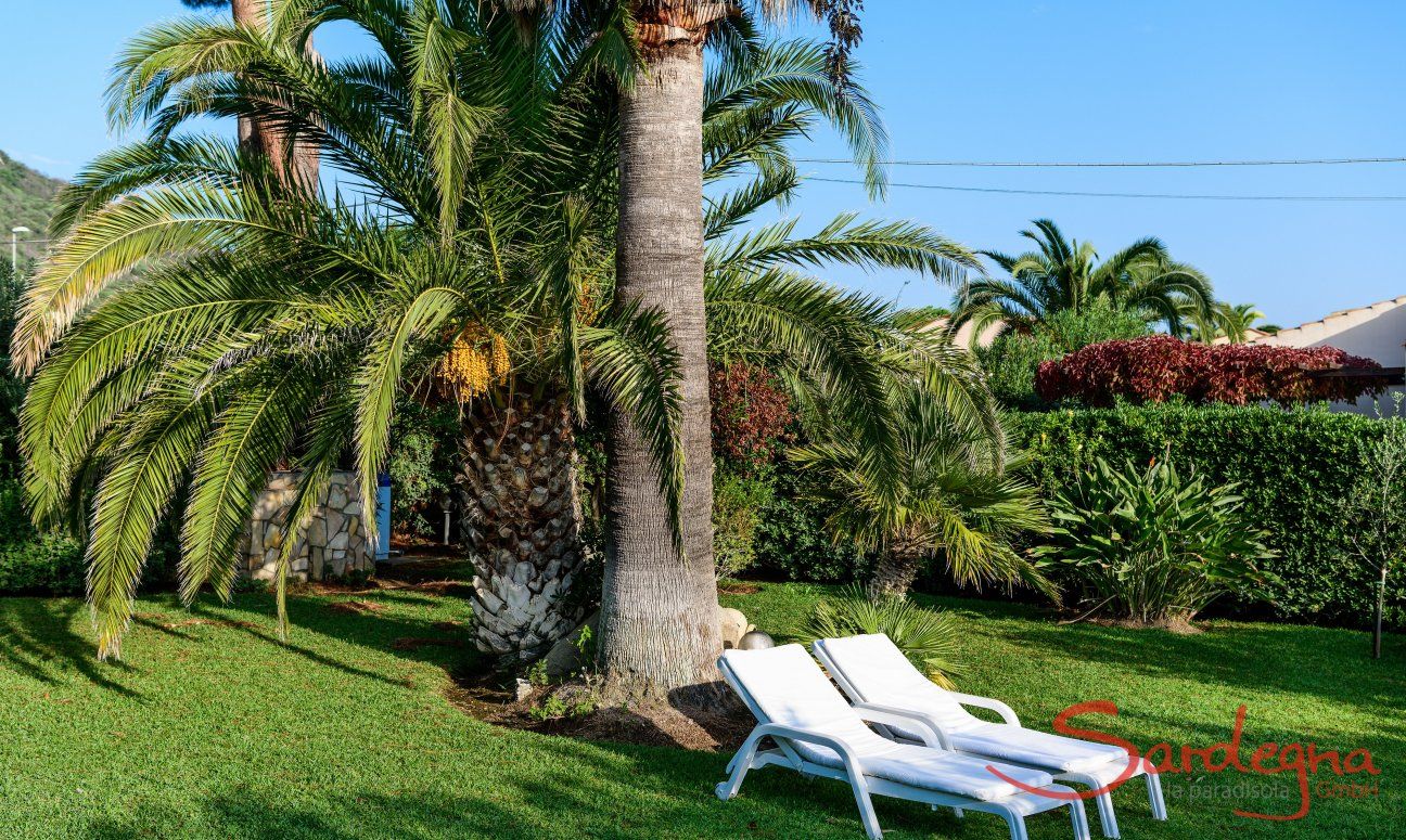 Villa Giangaleazzo | Giardino con lettini sotto palme Giardino