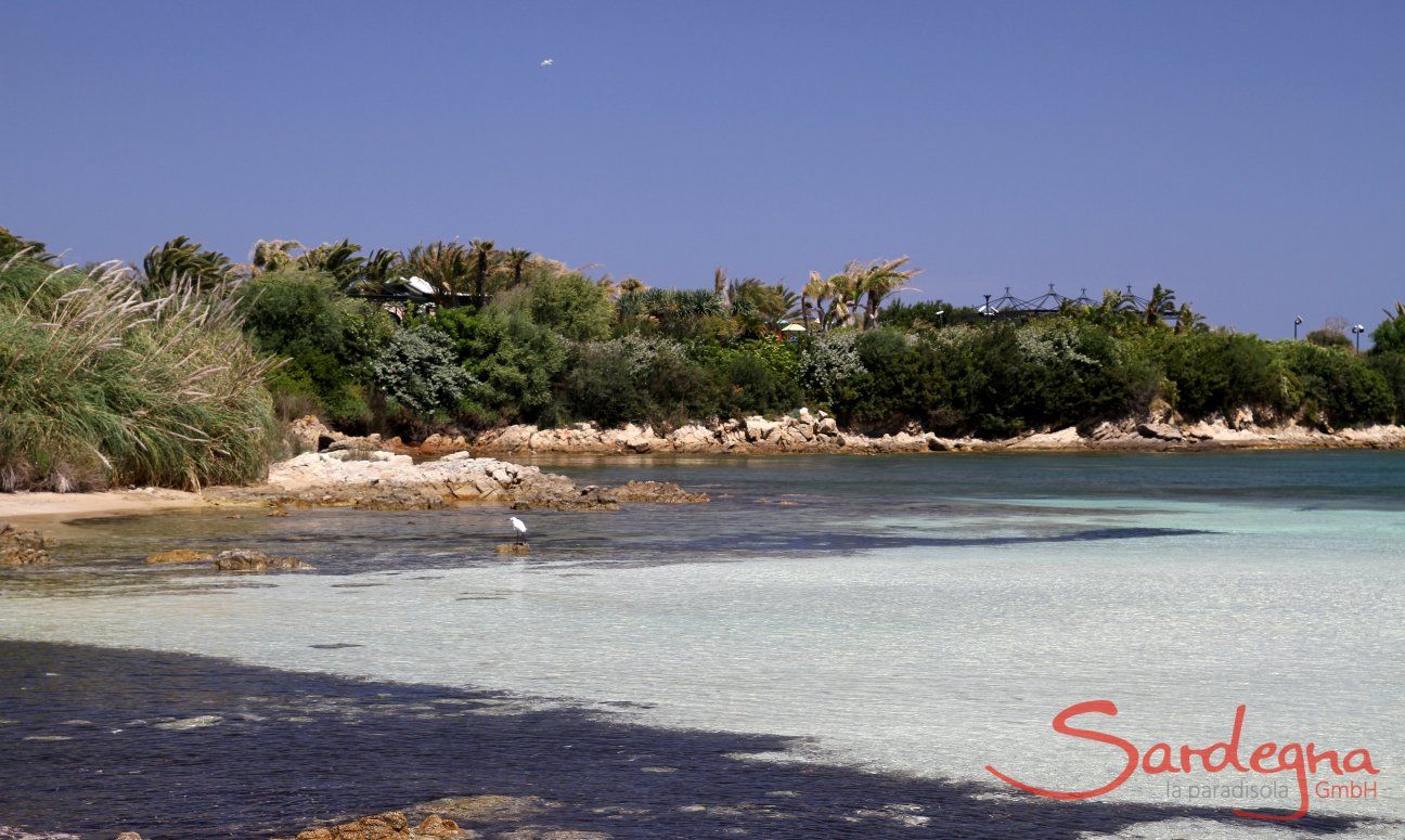 Piccola baia da sogno Spiaggia dei Sassi sulla costa di Porto Rotondo