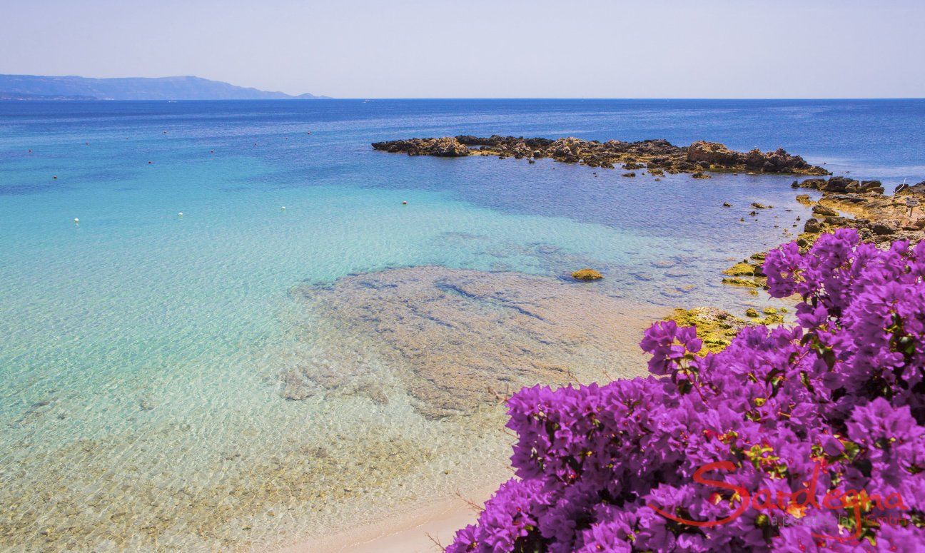 Acqua cristallino e bougainville in fiore nelle baie vicino ad Alghero