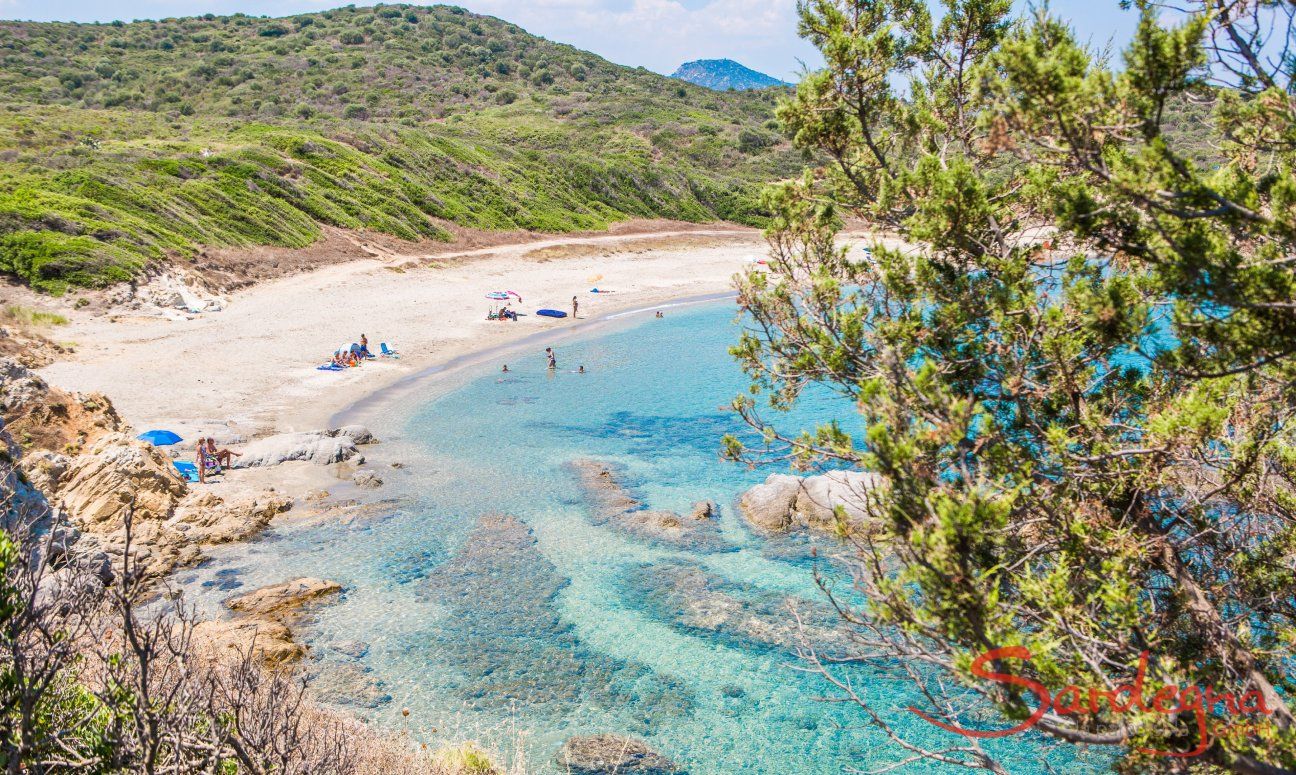 Sardegna