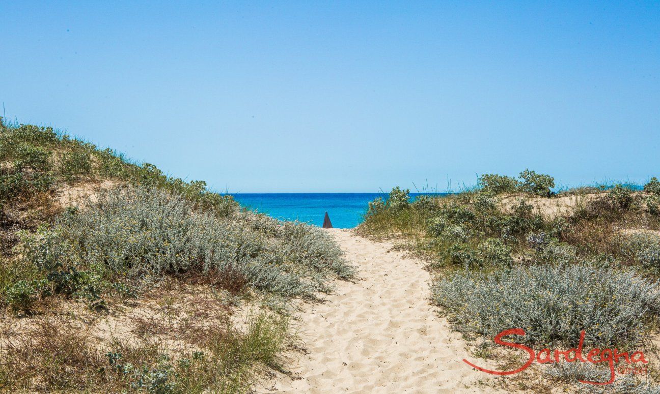 Accesso alla spiaggia di Geremeas attraverso le dune