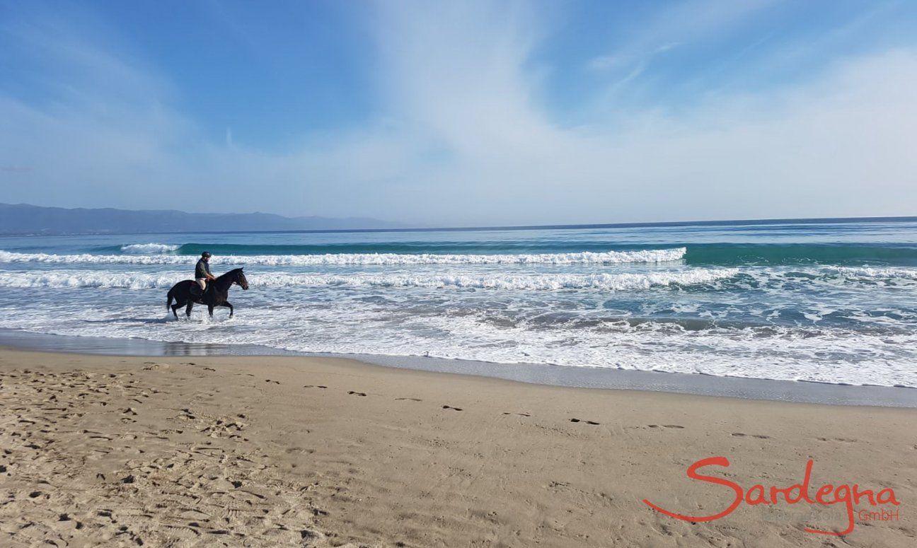 Cavaliere fa una passeggiata a cavallo sulla battigia del Poetto a Cagliari