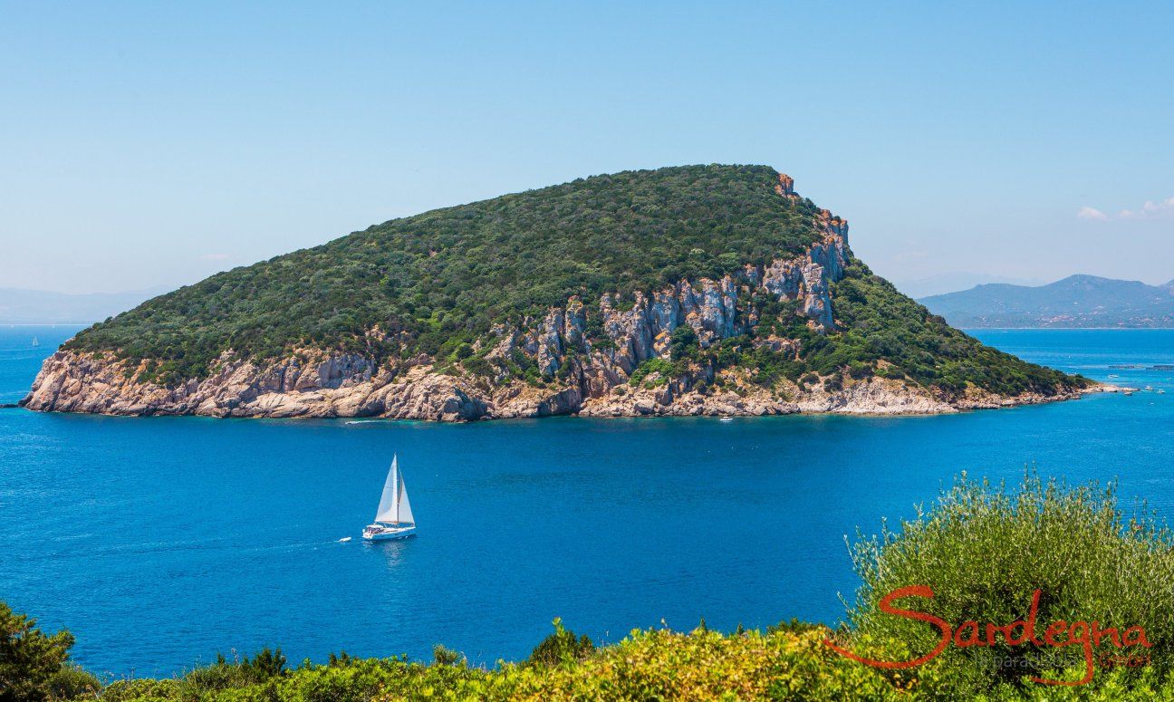 Barcavela davanti all'isola Figarolo a Golfo Aranci