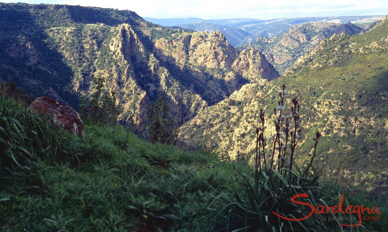 Salto di Quirra Flumendossa